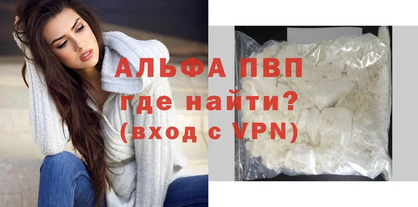 PSILOCYBIN Аркадак