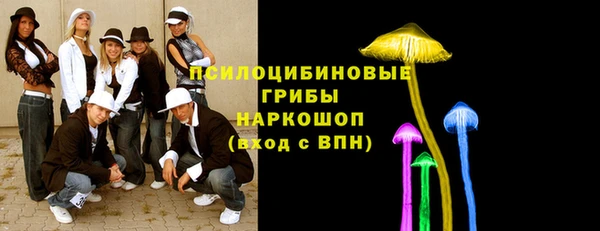 Альфа ПВП Арсеньев