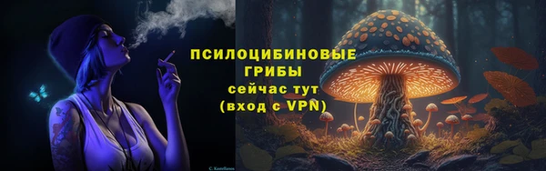 Альфа ПВП Арсеньев
