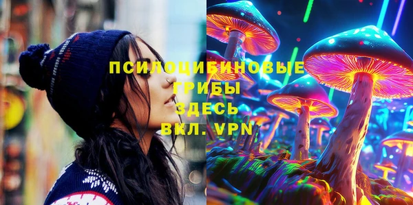 PSILOCYBIN Аркадак