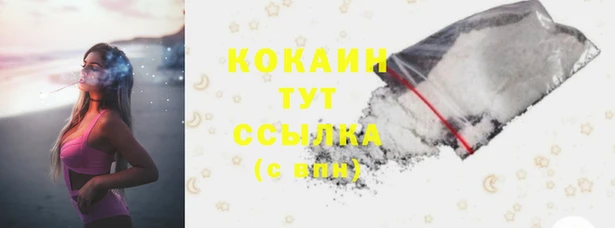 PSILOCYBIN Аркадак