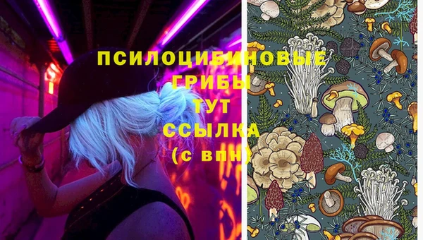 ешки Армянск