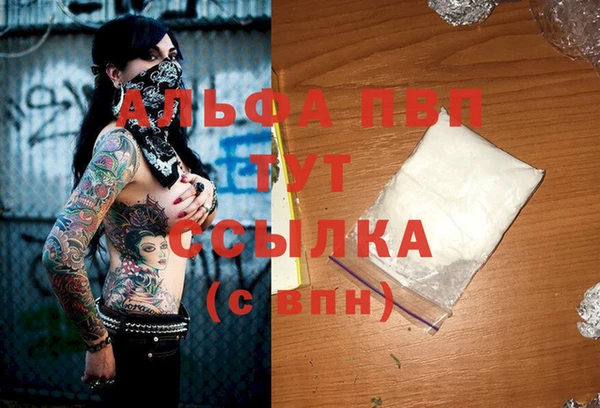 PSILOCYBIN Аркадак
