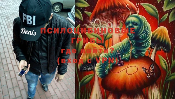 PSILOCYBIN Аркадак