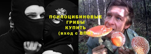Альфа ПВП Арсеньев