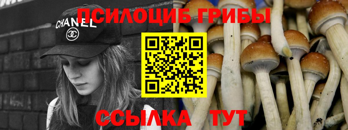 Псилоцибиновые грибы Magic Shrooms Евпатория