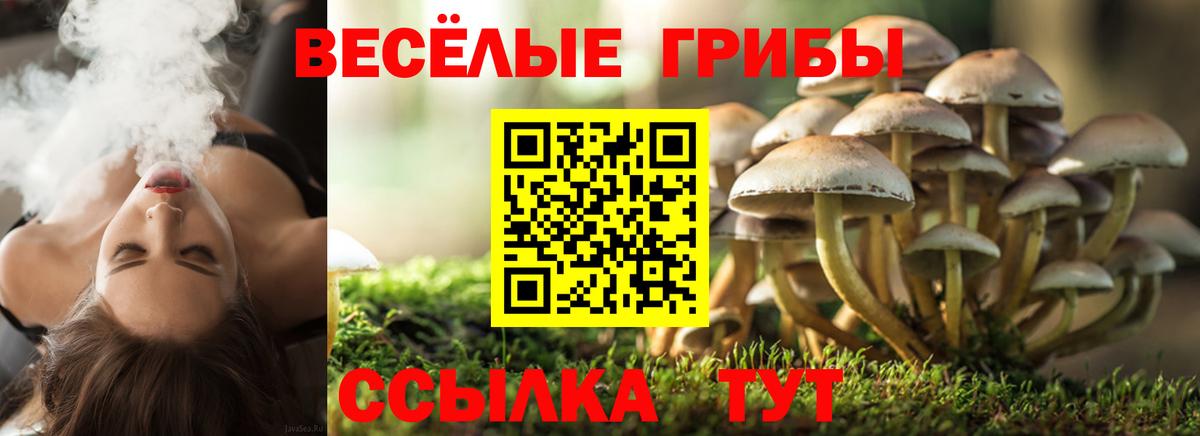 Евпатория  Галлюциногенные грибы мухоморы  Вход с VPN 